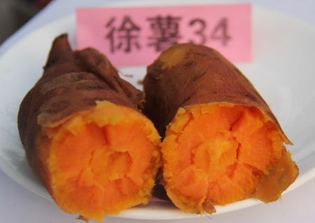 徐薯34蒸熟