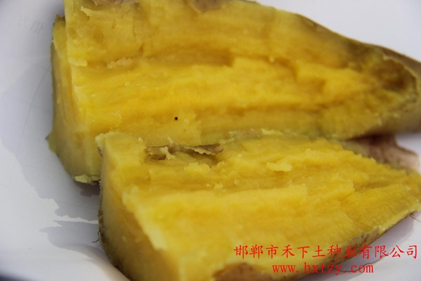 北京553蒸熟切面