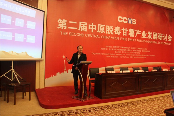 “甘薯栽培機械化進展”專題報告