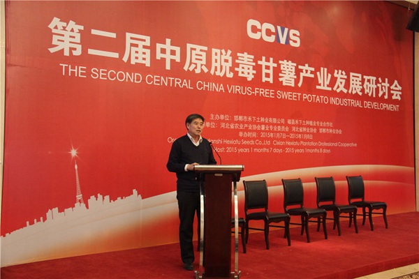 “甘薯專用品種和簡化栽培”專題報告