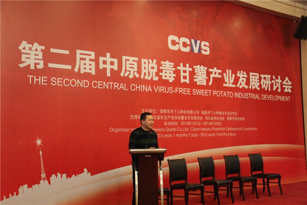 “都市農業中甘薯發展趨勢”專題報告