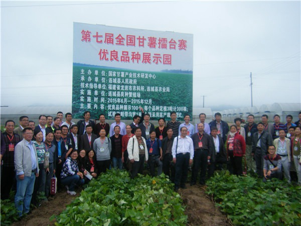 連城地瓜產業發展大會