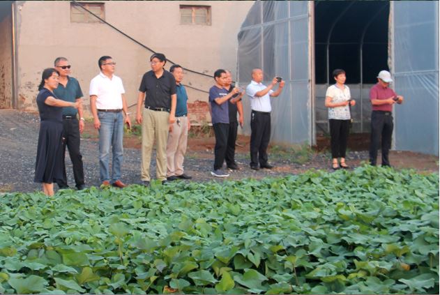 1648166338145585.jpg 2020.3.25.5.JPG