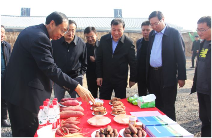 1648172669236421.jpg 2020.3.25.73.JPG