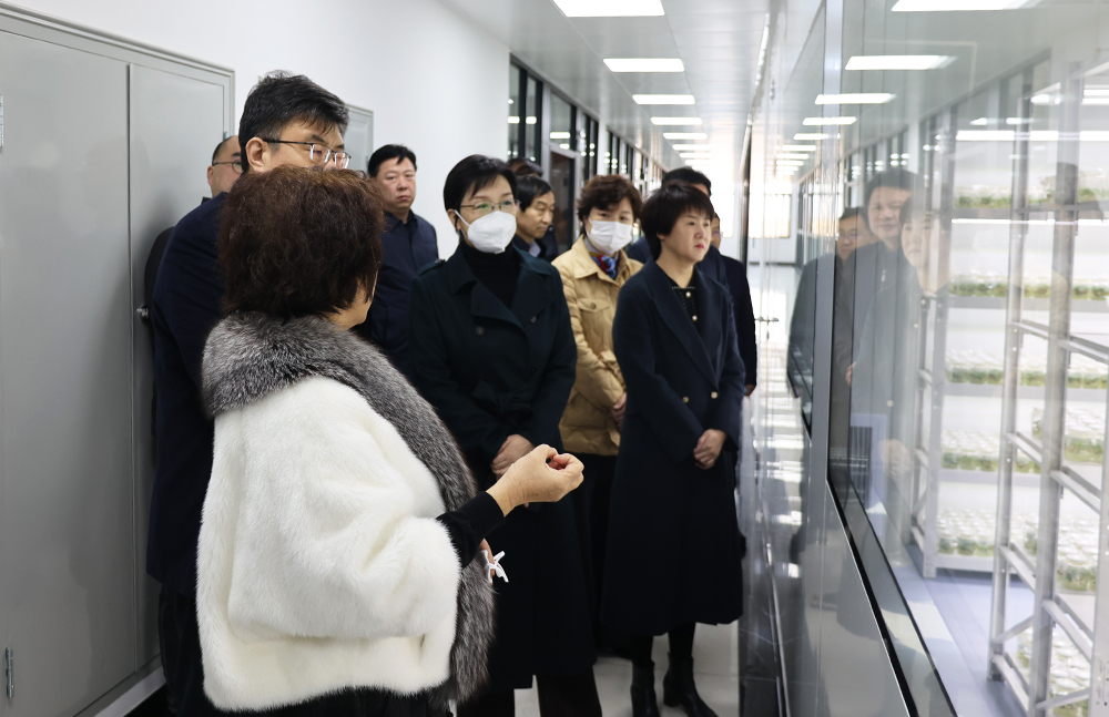 1675418825174842.jpg 6.jpg