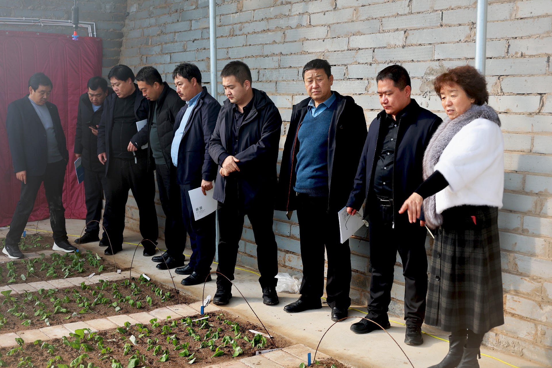 1676277647188761.jpg 1676277169943046.jpg