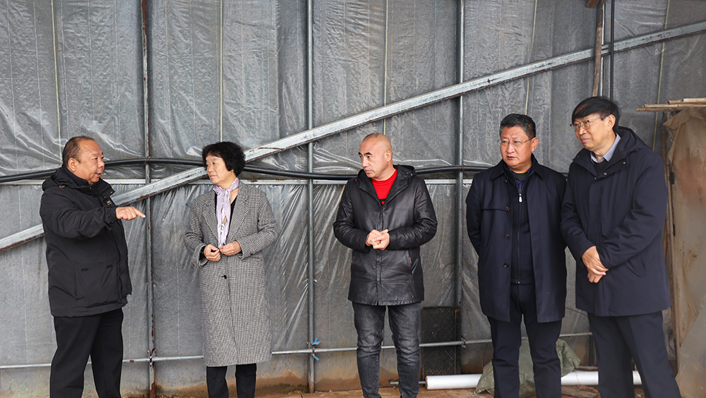 1700547812152419.jpg 10.jpg