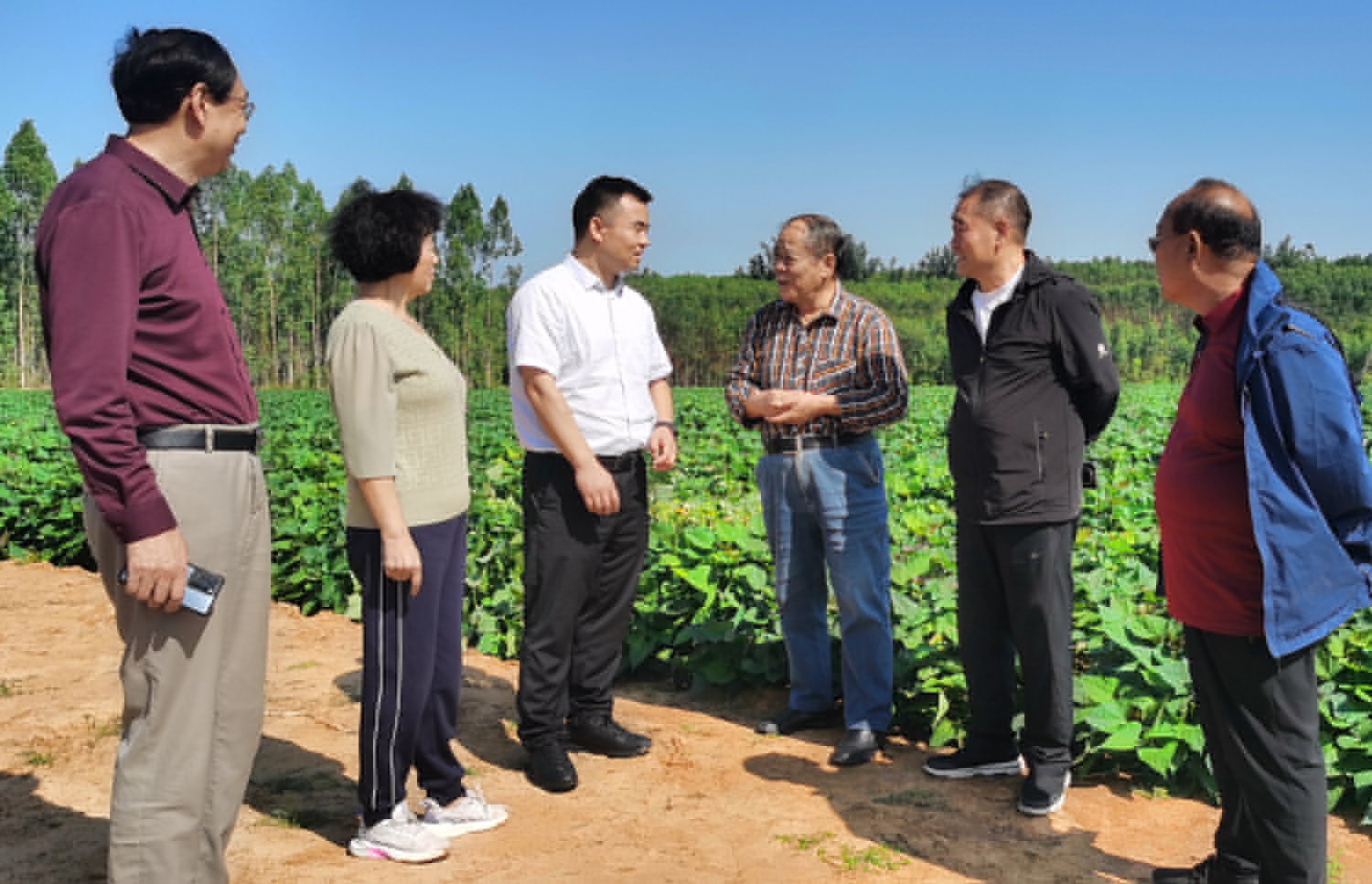 1702087956614199.jpg a1763465d403a7504d62722ae57bdd0.jpg