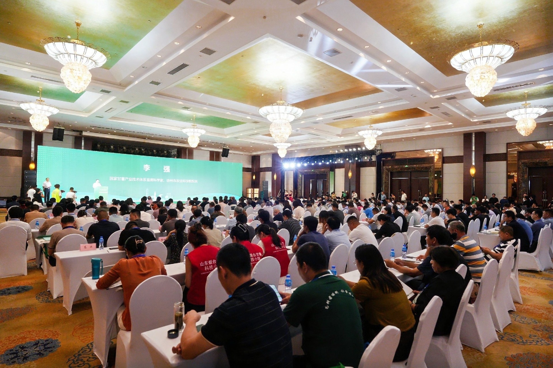 1725508087333911.jpg 7ada6f38abaadfdfc0f6713a11b5061.jpg