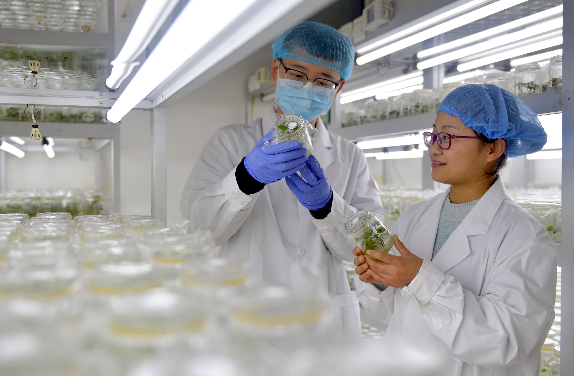 1731544983106517.jpg 03-1.jpg