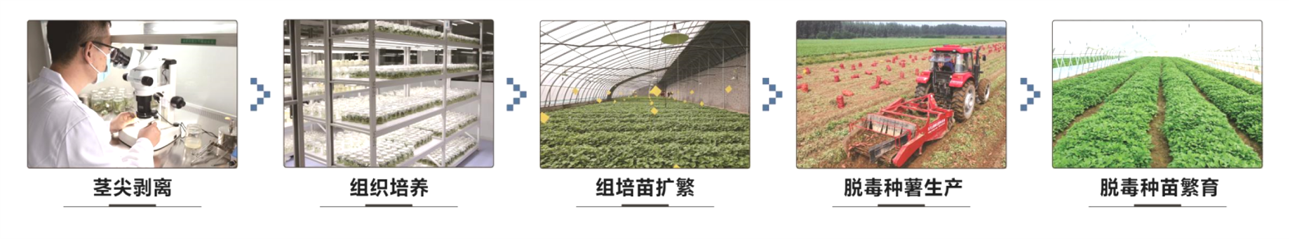 1740540100106530.png 圖片1.png