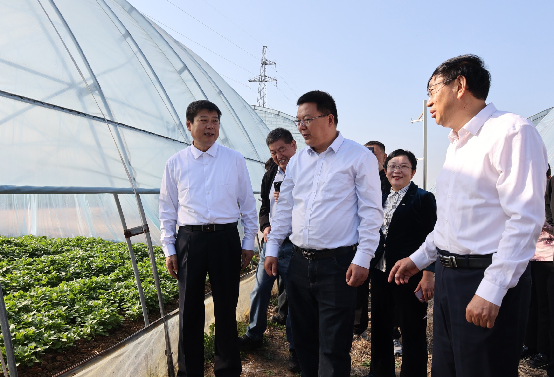 1743001528133569.jpg 5T8A0754.JPG